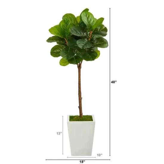 4ft. Fiddle Leaf Tree in White Metal Planter {3}
