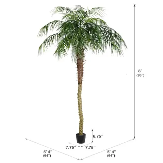8ft. Potted Phoenix Palm Tree {5}