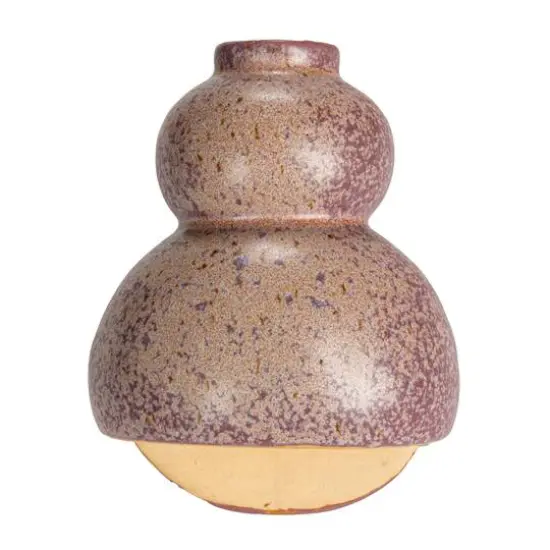 Hello Honey&reg; Multicolor Variously Shaped Stoneware Wall Vase Set {5}