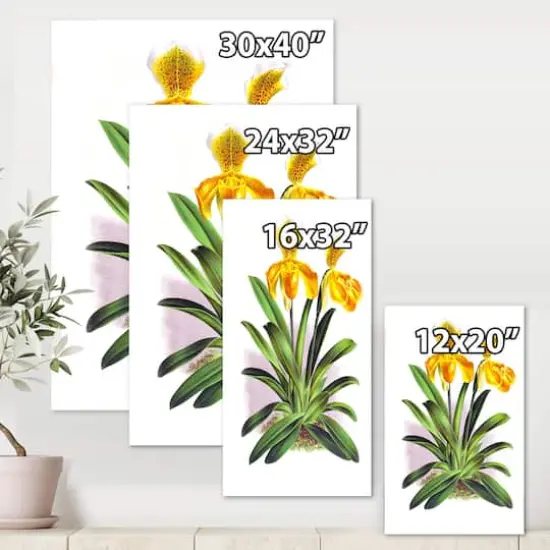 Designart - Vintage Yellow Orchid - Traditional Canvas Wall Art Print {6}