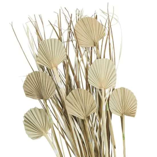 3ft. Brown Dried Plant Palm Leaf Natural Foliage with Grass {5}