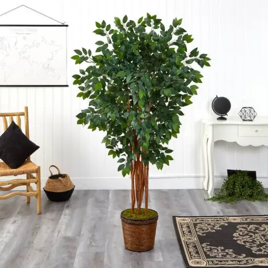 5.5ft. Sakaki Artificial Tree in Wicker Planter {4}