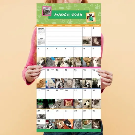 TF Publishing 2024 Cat-A-Day Wall Calendar {6}