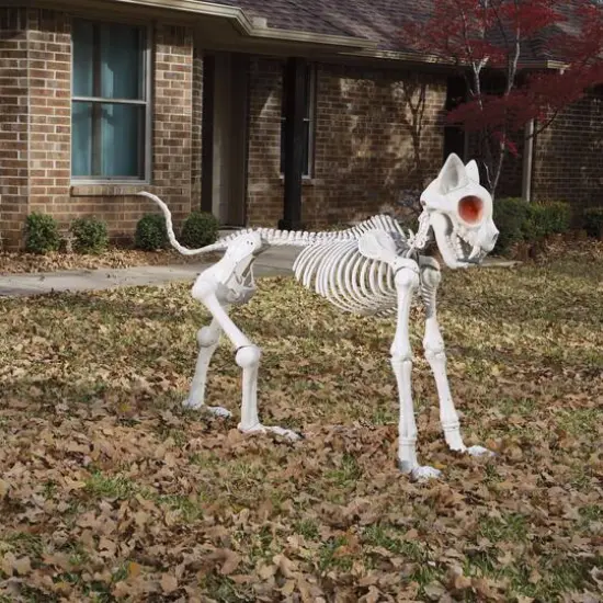5ft. Oversized Posable Cat Skeleton by Ashland&reg; {5}
