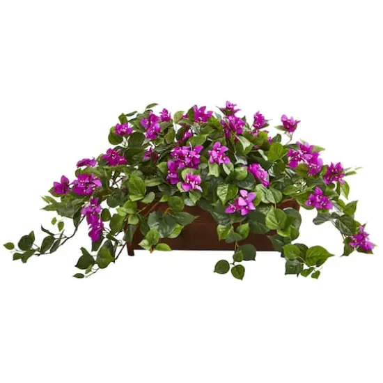 18" Bougainvillea Plant in Decorative Planter {1}