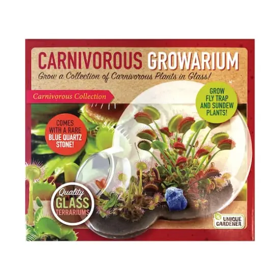 Double Sphere Glass Terrarium - Carnivorous Growarium {1}