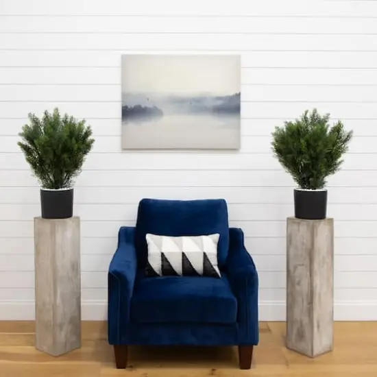 2ft. Potted UV Resistant Cedar Bushes, 2ct. {4}