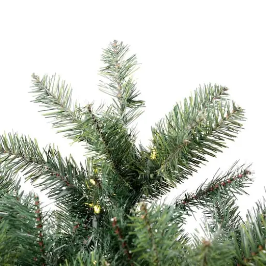 7.5ft. Pre-Lit Salem Pine Artificial Christmas Tree, Warm White Dura-Lit&reg; LED Lights {4}