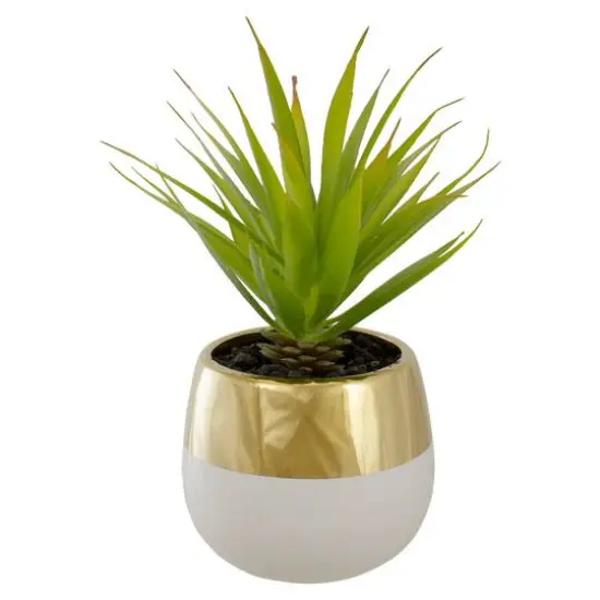 7" Potted Green Sword Grass Plant {1}
