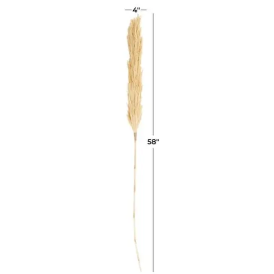 Cream Dried Pampas Grass Stem {4}