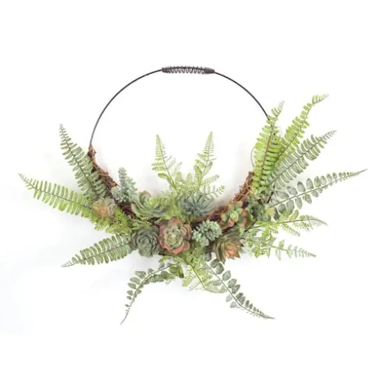 2ft. Fern & Succulent Wall D&eacute;cor Accent {1}