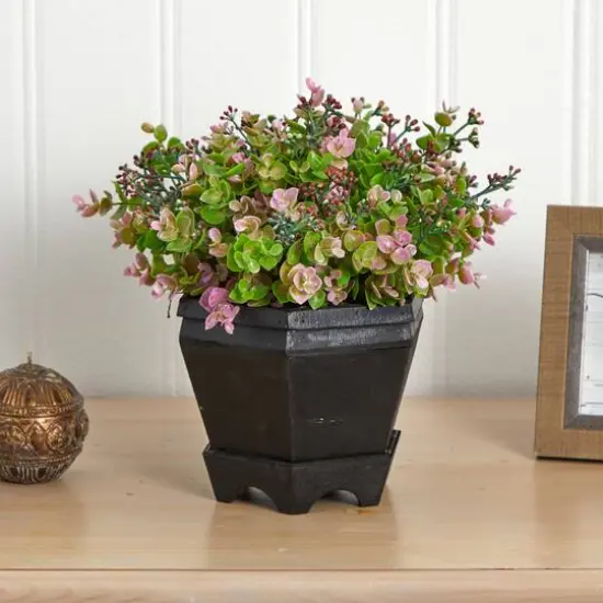 13in. Sedum & Eucalyptus Plant in Black Hexagon Planter {6}