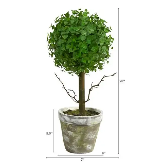 20" Potted Eucalyptus Single Ball Topiary Tree {3}