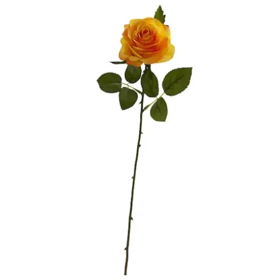 Orange Rose Stems, 24ct. {1}