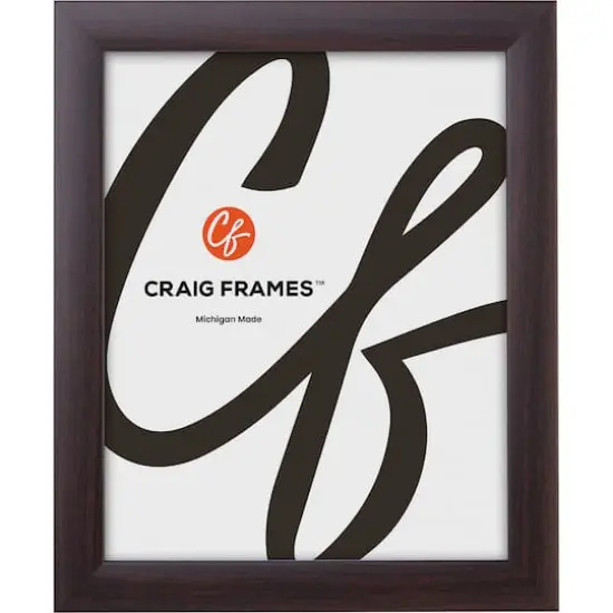 Craig Frames 4 Pack Contemporary Brazilian Walnut Picture Frame {3}