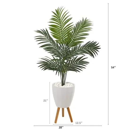 4.5ft. Kentia Palm Tree In White Planter With Legs {3}