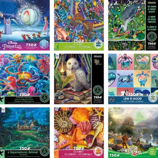 Assorted Deluxe 750 Piece Puzzle {1}