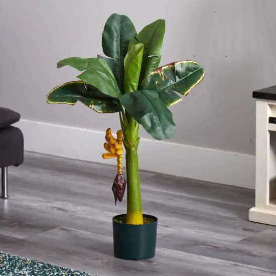 3ft. Potted Banana Tree {3}