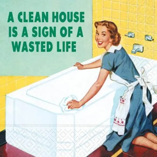 JAM Paper A Clean House Cocktail Napkins, 40ct. {1}