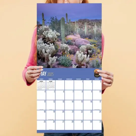 TF Publishing 2025 National Parks Wall Calendar {5}