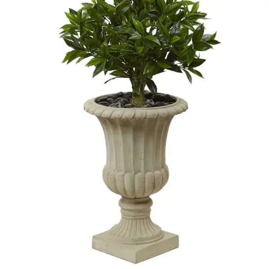 5.5ft. Triple Bay Leaf Topiary Tree in Urn {4}