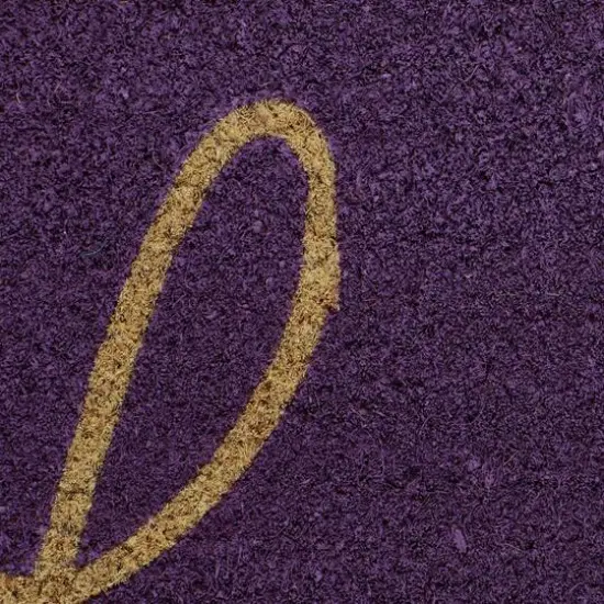 DII&reg; Hello Doormat Purple {8}