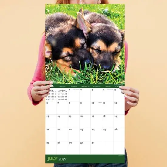 TF Publishing 2025 Dog Dreams Wall Calendar {4}