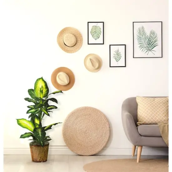 3.5ft. Golden Dieffenbachia In Decorative Basket {3}