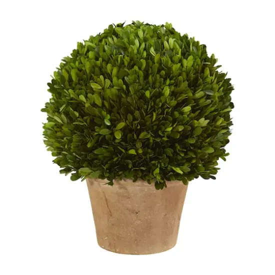 15'' Boxwood Ball Preserved Plant in Brown Planter {1}