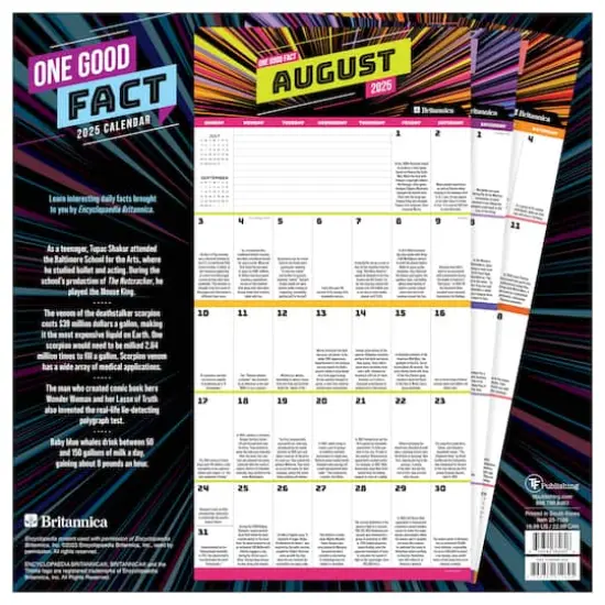 TF Publishing 2025 One Good Fact Wall Calendar {3}