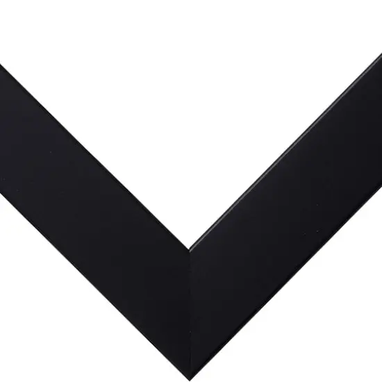 2 Pack Craig Frames Essentials Modern Black Picture Frame {4}