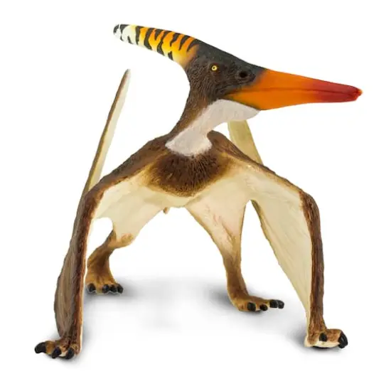 Safari Ltd&reg; Pteranodon {3}
