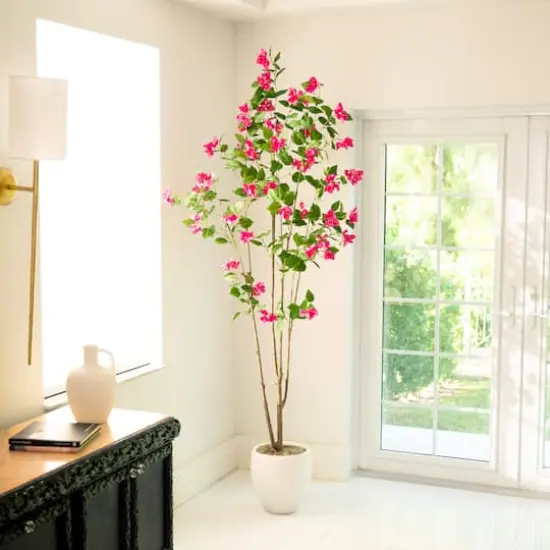 7ft. Potted Pink Minimalist Bougainvillea Tree {3}