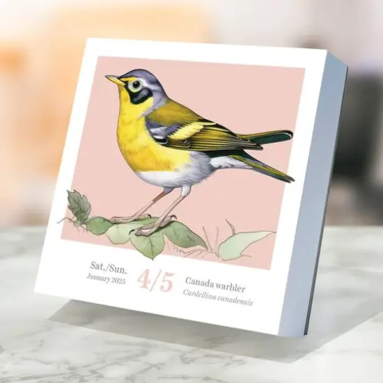 TF Publishing 2025 Birds: Backyard & Beyond Daily Desktop Calendar {5}