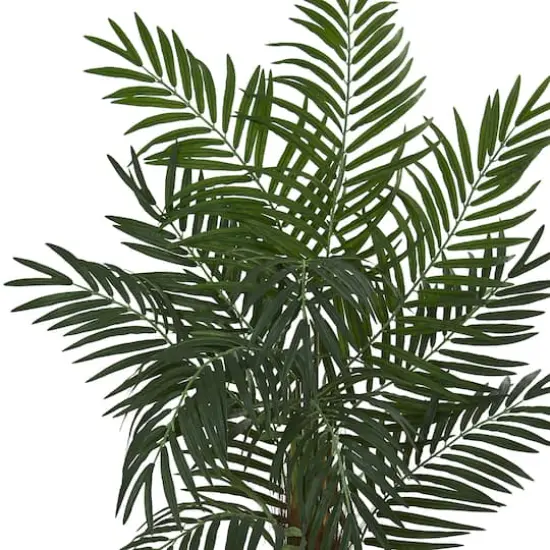 5.5ft. Areca Palm Tree in White Tower Planter {3}
