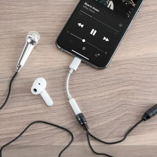 Kikkerland&reg; Mini Karaoke Microphone {4}