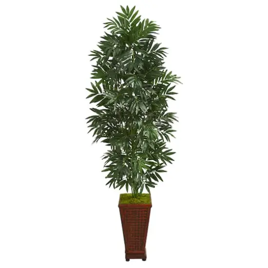 5.5ft. Bamboo Palm Plant in Decorative Planter {1}