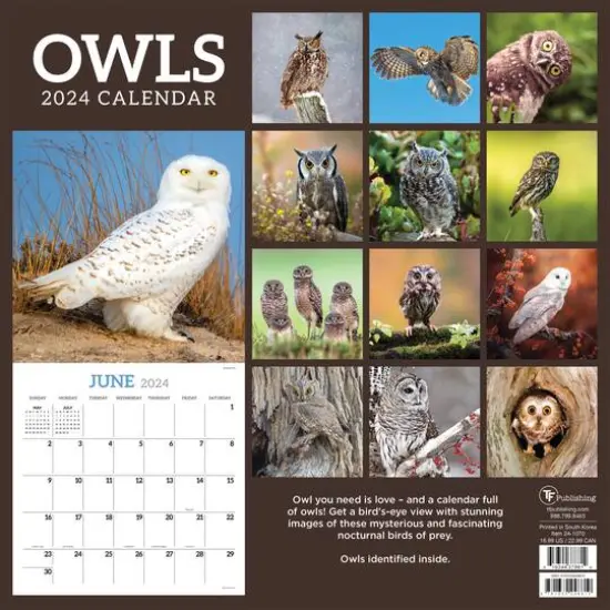 TF Publishing 2024 Owls Wall Calendar {3}