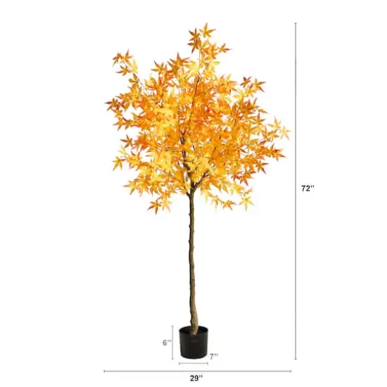 6ft. Potted Yellow Autumn Maple Tree {4}