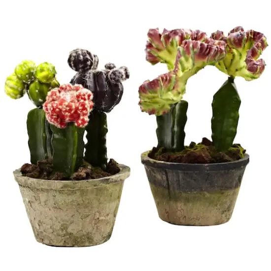 Colorful Cactus Gardens Set {1}