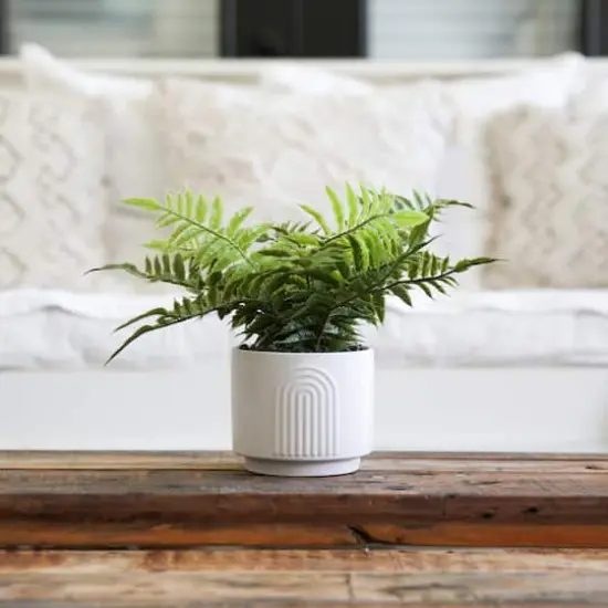 13" Artificial Boston Fern Plant with Decorative Planter  {5}