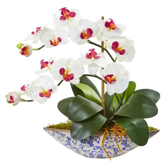 16" Moth Orchid Arrangement in Blue Floral Vase White {1}