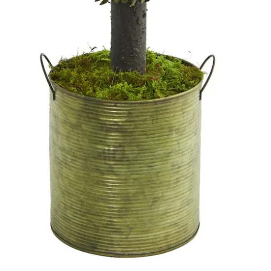 1.5ft. Boxwood Ball Topiary Tree in Green Tin {4}