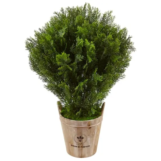 3ft. Cedar Tree in Barrel Planter {1}