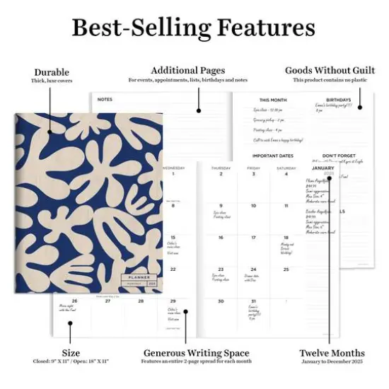 TF Publishing 2025 Wacky & Wavy Large Monthly Planner {6}