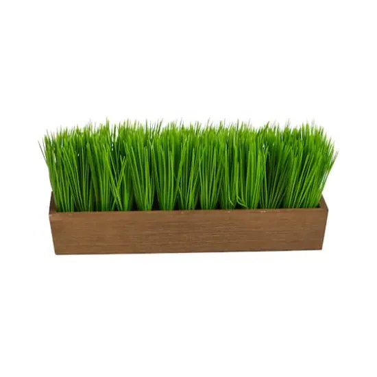 5" Grass Plant in Decorative Planter {1}