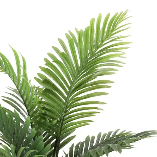 4ft. Areca Palm in Black Planter {3}