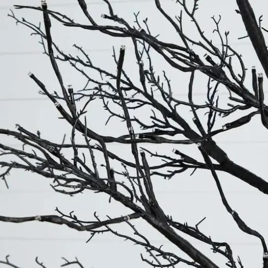 8ft. Pre-Lit Halloween Deluxe Black Twig Artificial Tree with 216 Orange & Purple LED Lights {4}