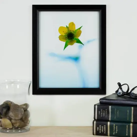 Craig Frames Economy Ebony Hardwood Picture Frame {8}