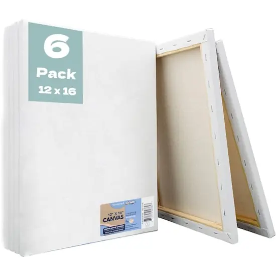 Artskills&reg; 6 Pack 12" x 16" Stretched Primed Value Canvas {1}